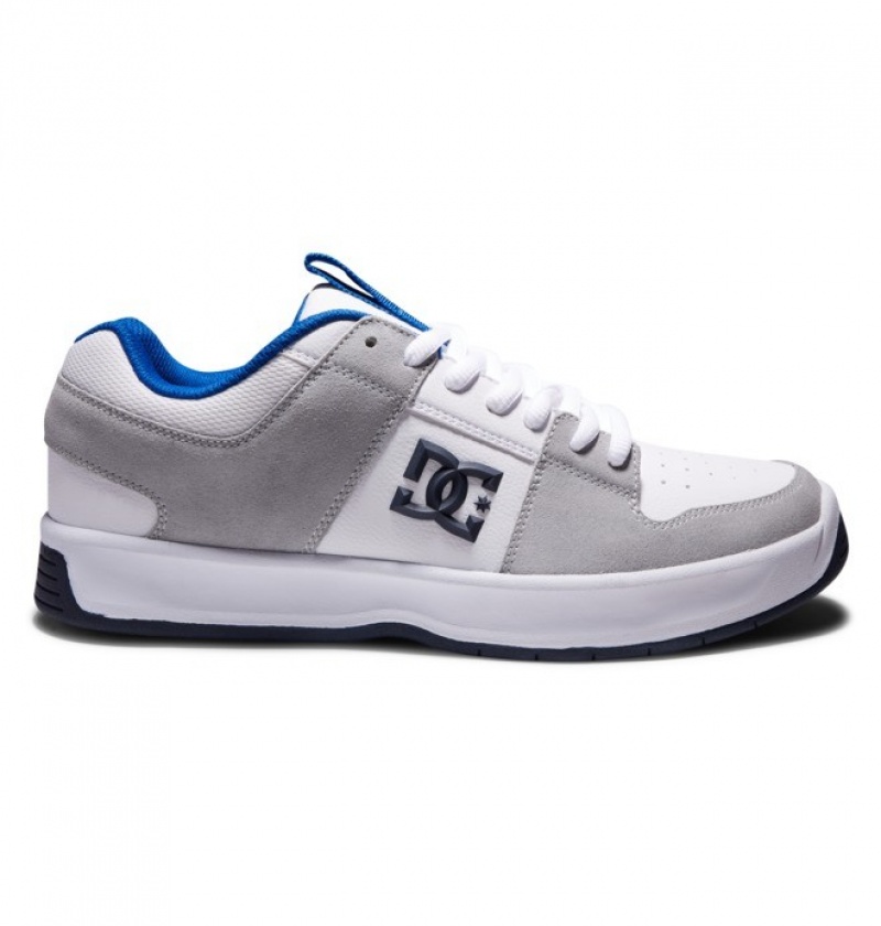 Adidasi DC Lynx Zero Skate Shoes Barbati Albi Albastri Gri | IPJ8923