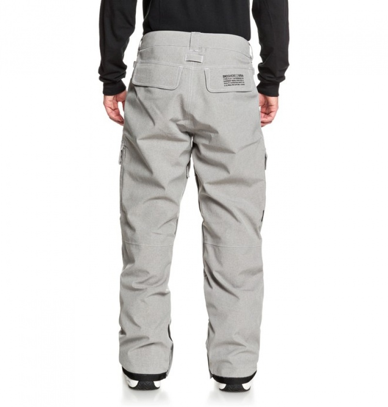 Pantaloni De Snowboard DC Code Shell Barbati Gri | SGJ5131