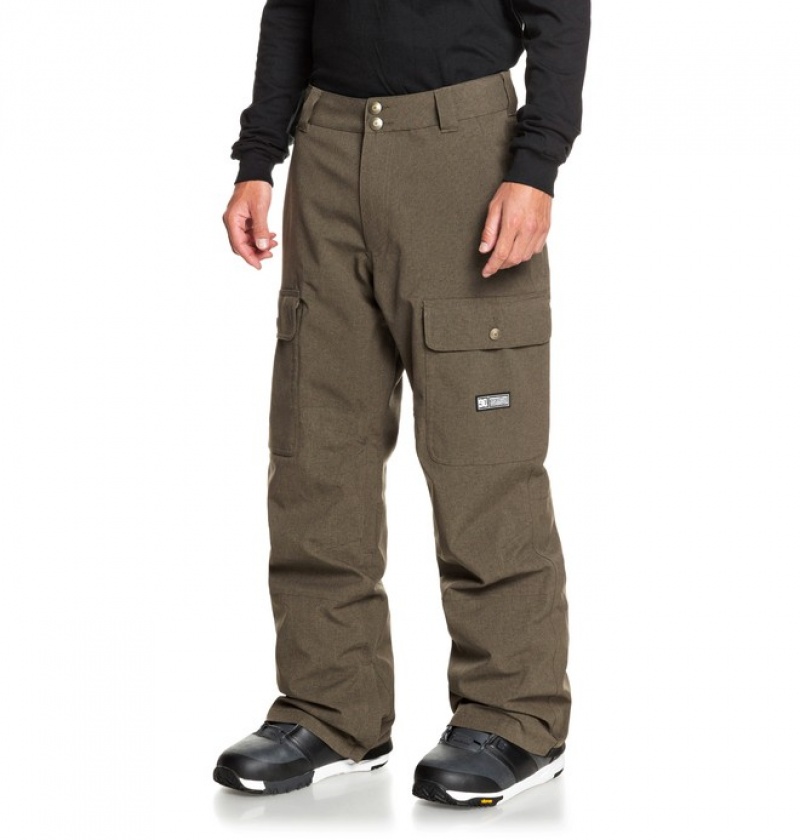 Pantaloni De Snowboard DC Code Shell Barbati Maro | MEL6863