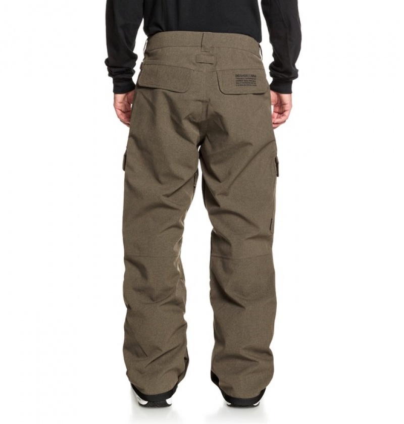 Pantaloni De Snowboard DC Code Shell Barbati Maro | MEL6863