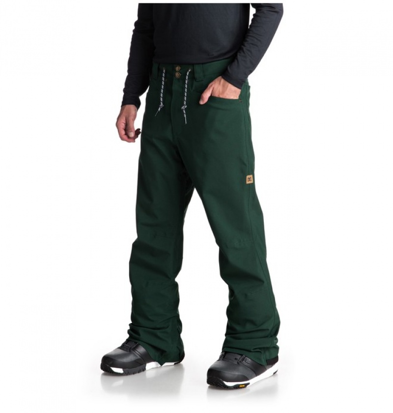 Pantaloni De Snowboard DC Relay Barbati Verzi | TXI7971