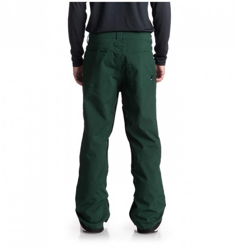 Pantaloni De Snowboard DC Relay Barbati Verzi | TXI7971